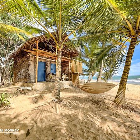 The Alpha Monkey Hotel & Tree House Тангале Екстериор снимка