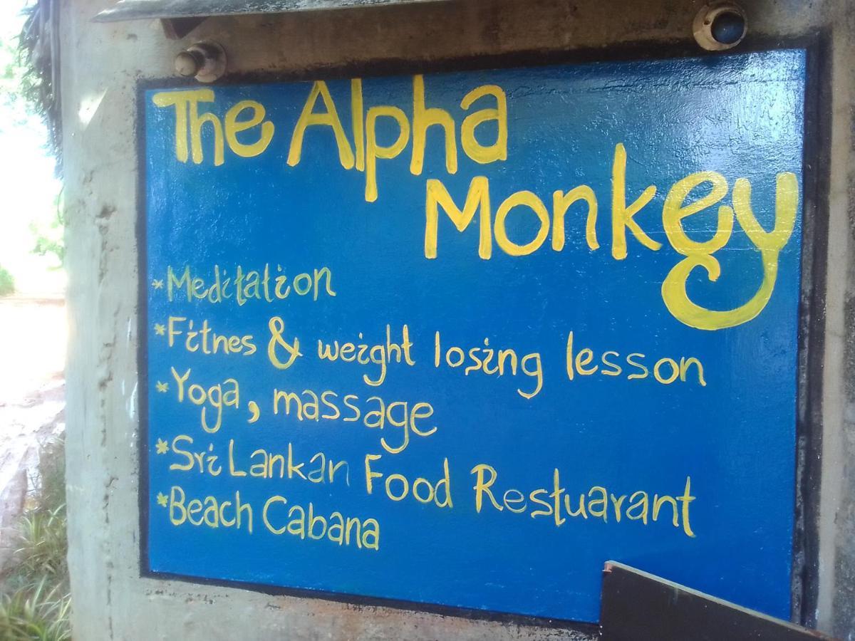 The Alpha Monkey Hotel & Tree House Тангале Екстериор снимка