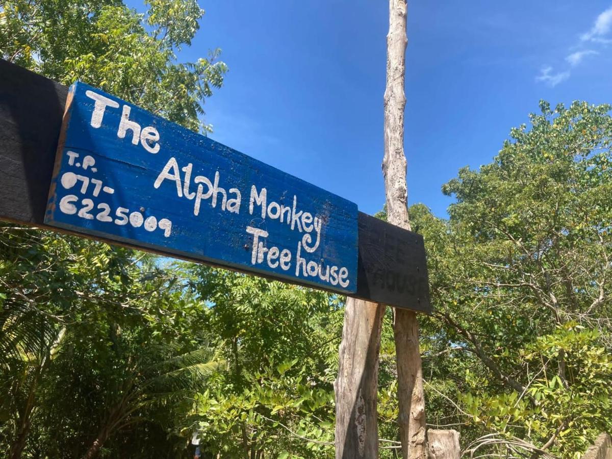 The Alpha Monkey Hotel & Tree House Тангале Екстериор снимка