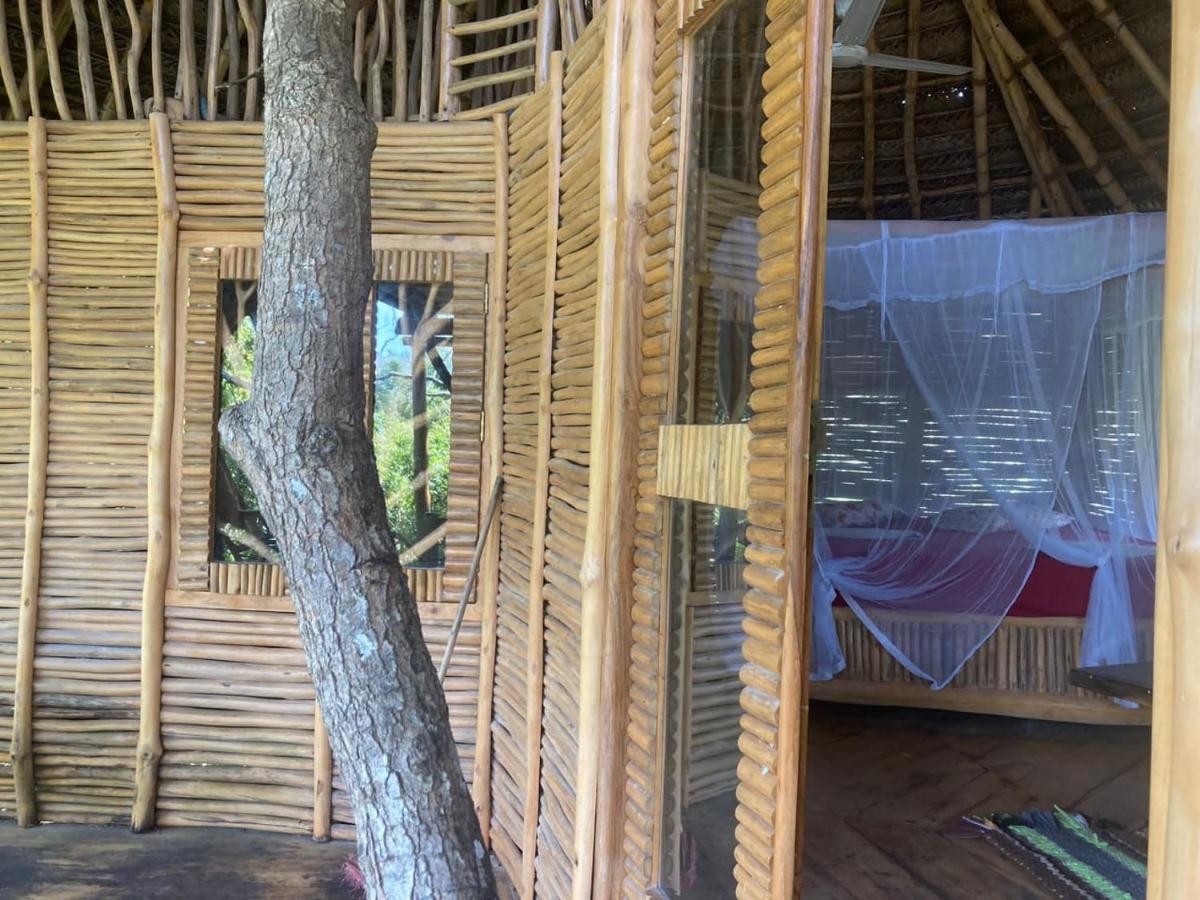 The Alpha Monkey Hotel & Tree House Тангале Екстериор снимка