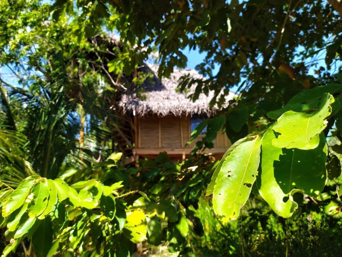 The Alpha Monkey Hotel & Tree House Тангале Екстериор снимка