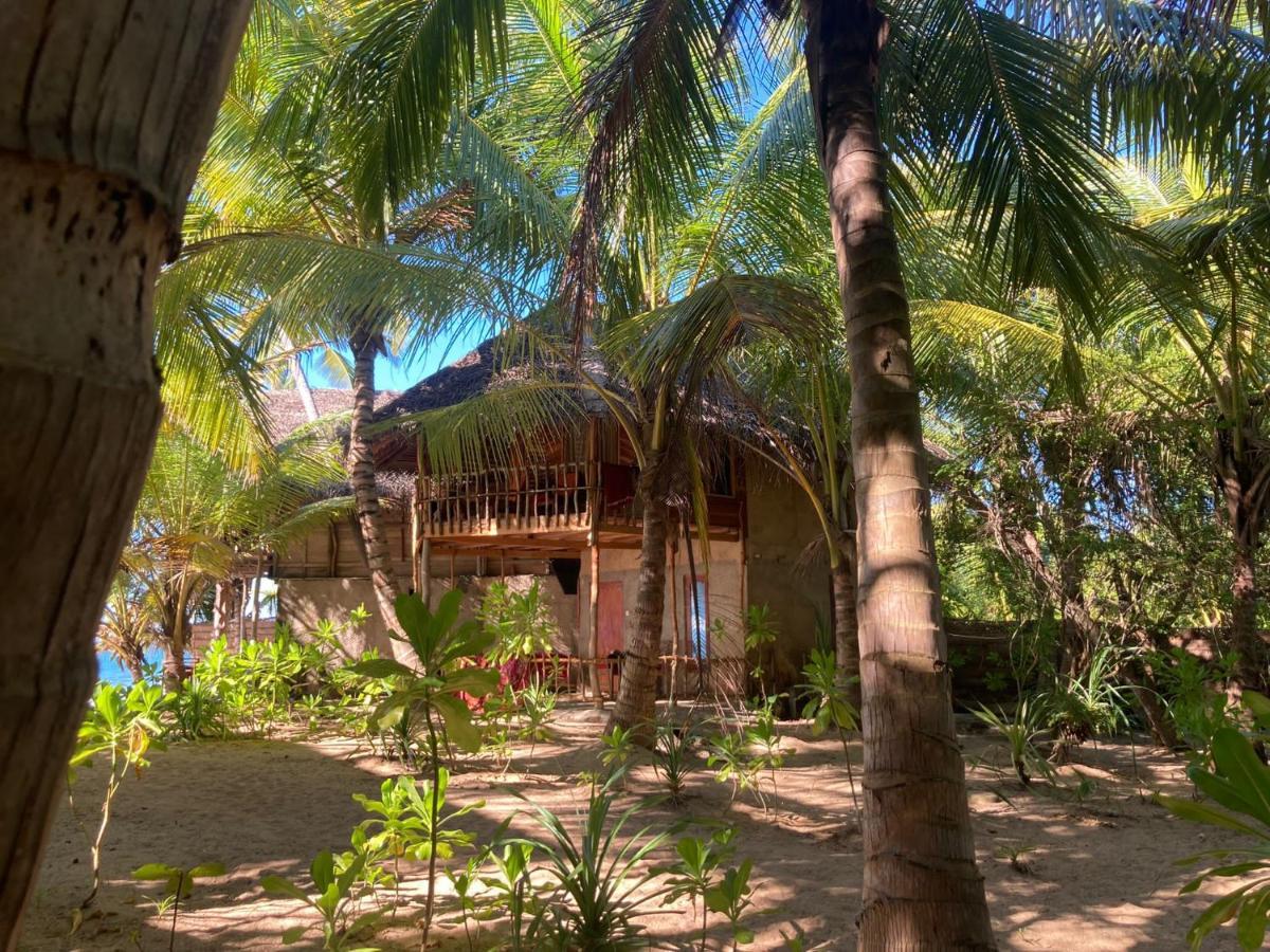 The Alpha Monkey Hotel & Tree House Тангале Екстериор снимка