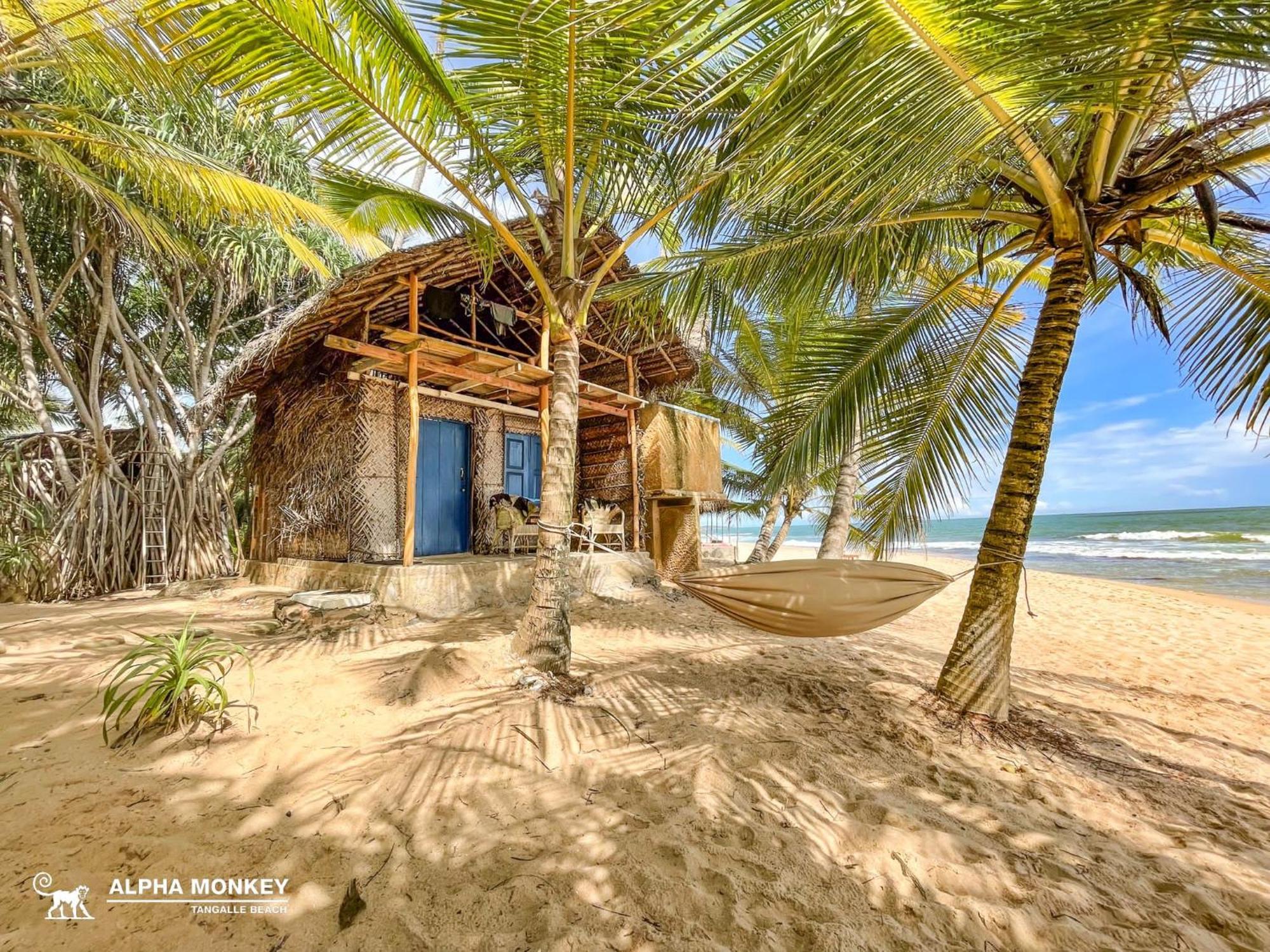The Alpha Monkey Hotel & Tree House Тангале Екстериор снимка