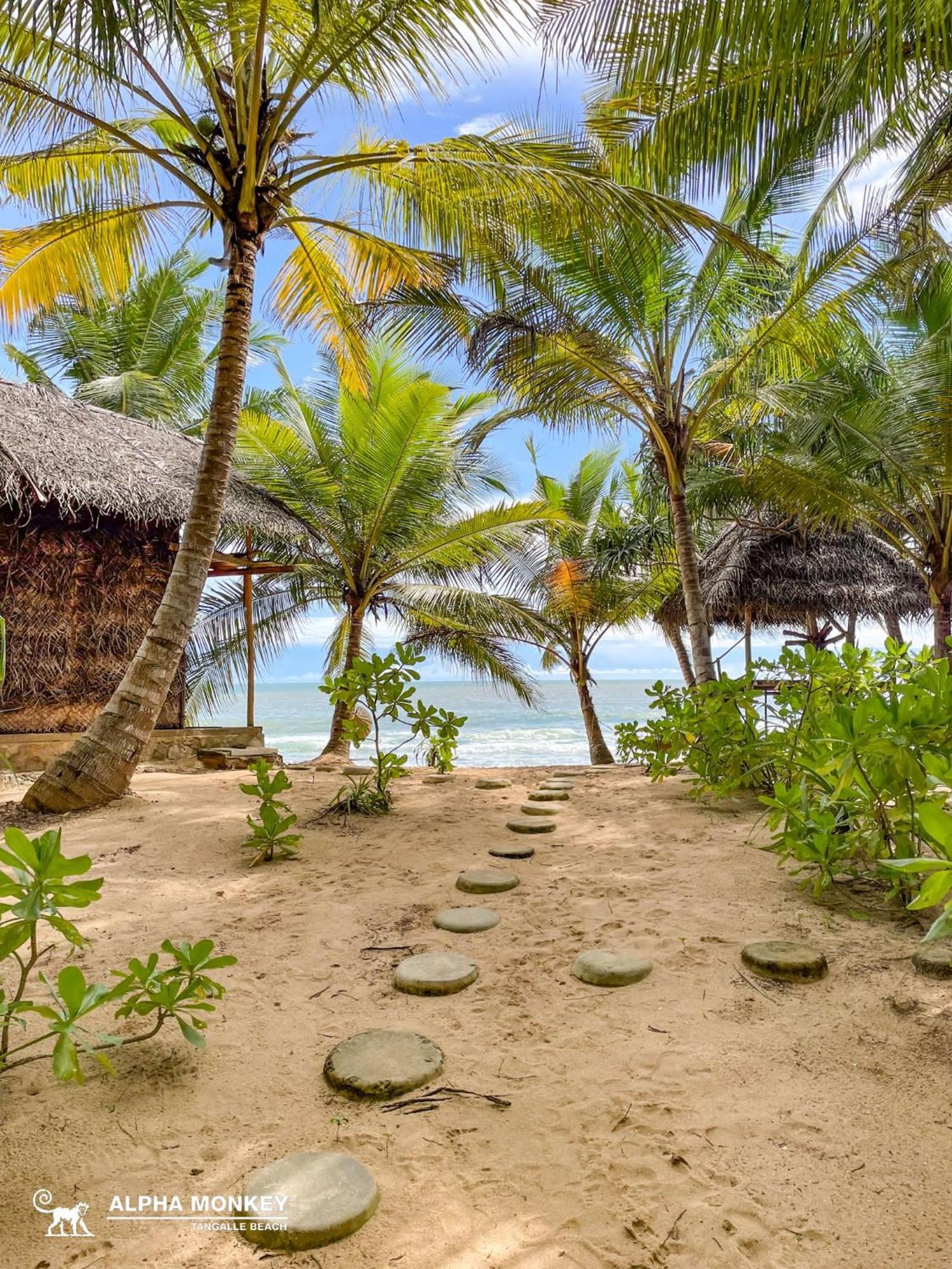 The Alpha Monkey Hotel & Tree House Тангале Екстериор снимка