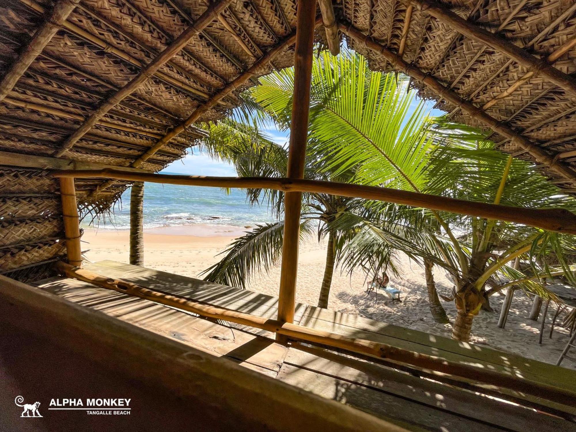 The Alpha Monkey Hotel & Tree House Тангале Екстериор снимка