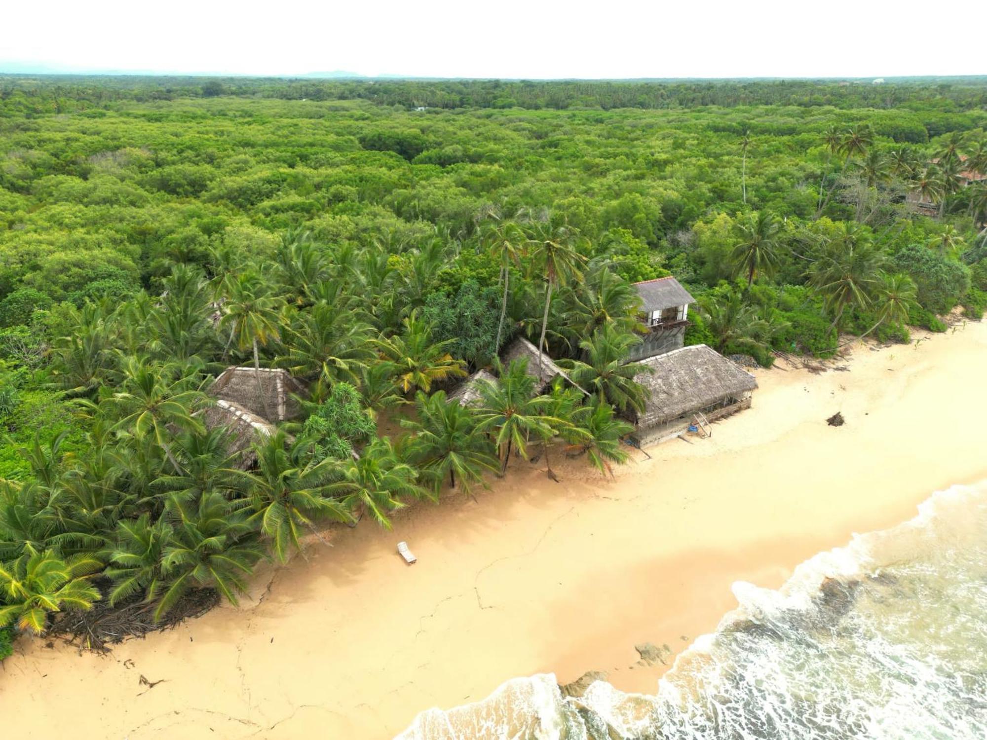 The Alpha Monkey Hotel & Tree House Тангале Екстериор снимка