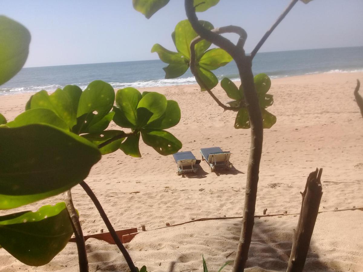 The Alpha Monkey Hotel & Tree House Тангале Екстериор снимка